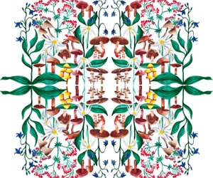 野生の植物、2015 アクリル 作： Charlotte Orr