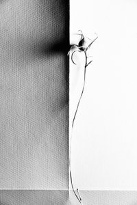 作： 