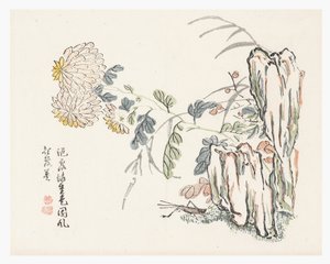菊、からし菜園 マニュアル 作： Cheng An (after)