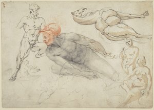 男女の裸婦、サテュロス、ラクダの習作（レクト）；マルクス・アウレリウス像（裏面） 作： Cherubino Alberti