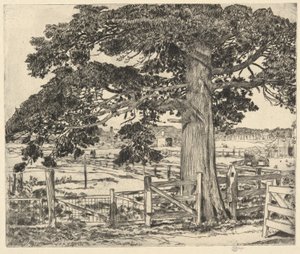 Big Cedar、ウェインスコット、L. I.、1929 年 作： Childe Hassam