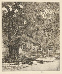 ジャイアントニレ、1929年 作： Childe Hassam
