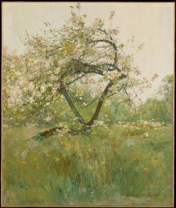 桃の花— Villiers-le-Bel 作： Childe Hassam