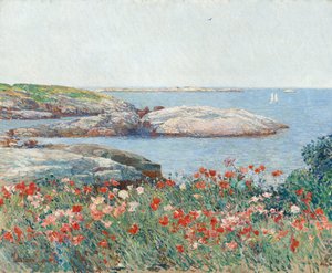 チャイルドハッサムの絵画ポピー、ショールズ諸島、1891年。 作： Childe Hassam