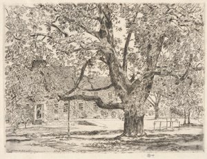 大きなトチノキの木、イーストハンプトン 作： Childe Hassam