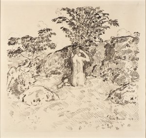 山桜