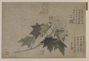 牡丹の枝、おそらく清朝（紙にインク） 作： Chinese School