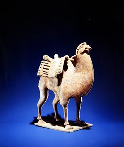 ラクダ、6世紀半ばから後半、北魏（386-534）-北斉（550-77）王朝（陶器）（394829も参照） 作： Chinese School