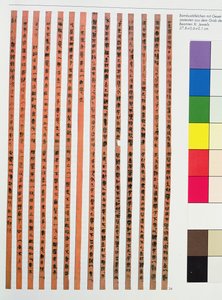 帝国または公式の中国の規制 作： Chinese School