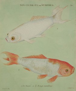 フランソワ・ニコラス・マルティネ（1731-p.1796）によって彫刻されたル・ナクル、ル・ルーギ・メンバーズ（印刷） 作： Chinese School