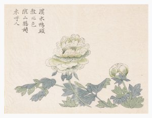 マスタード・シード・ガーデン 作： Chinese School