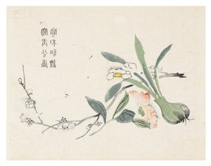 マスタードシードガーデン 作： Chinese School