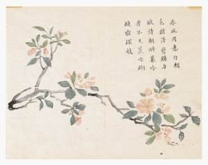 マスタード・シード・ガーデン 作： Chinese School