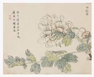 マスタード・シード・ガーデン 作： Chinese School