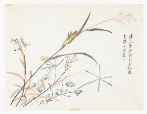マスタード・シード・ガーデン 作： Chinese School