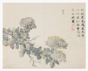 マスタード・シード・ガーデン 作： Chinese School