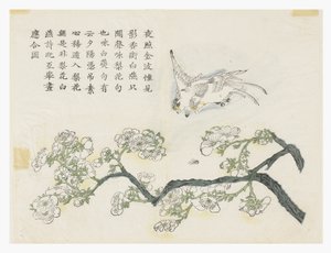マスタード・シード・ガーデン 作： Chinese School