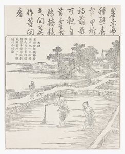苗床に稲を蒔く、18世紀 作： Chinese School