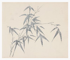 十竹シリーズ、18世紀 作： Chinese School