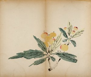 Ten Bamboo Studio Prints、1643（木版） 作： Chinese School