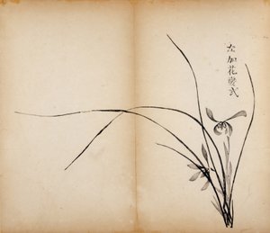Ten Bamboo Studio Prints、1643（木版） 作： Chinese School