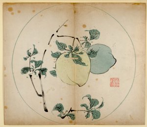 Ten Bamboo Studio Prints、1643（木版） 作： Chinese School