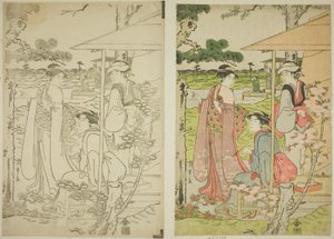 飛鳥の丘の茶屋からお花見 作： Chobunsai Eishi