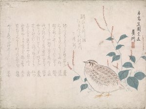 ウズラ 作： Chokko Roshû