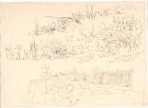 湖に沿った道。 さまざまな植物研究とこれらに関する注意事項 作： Christen Købke
