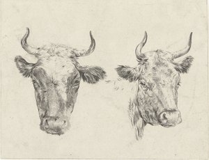 2 つの牛の頭 作： Christiaan Godfried Schutze van Houten