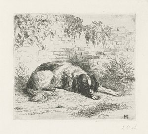 壁の前で横になっている犬 作： Christiaan Wilhelmus Moorrees