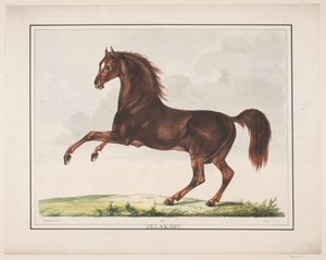 よくできた馬