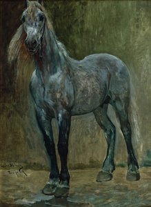 問題 作： Christian Eriksen Skredsvig