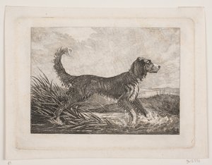 犬 作： Christian Holm