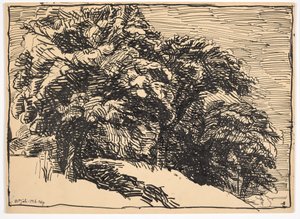 崖っぷちの樫の木 作： Christian Kongstad Petersen
