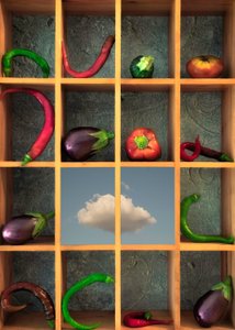 生鮮食品の陳列 作： Christian MARCEL