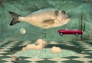 シュールな魚の夢の世界 作： Christian MARCEL