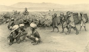 ティーピッカー、ペラデニヤ、セイロン、1898年。 作： Christian Wilhelm Allers