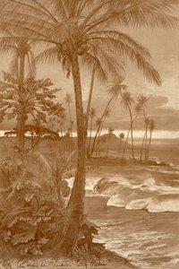 1898年、ハワイ、ワイキキのビーチ。