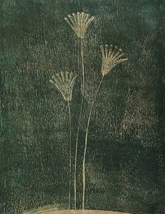 緑の花 作： Christina Misuro