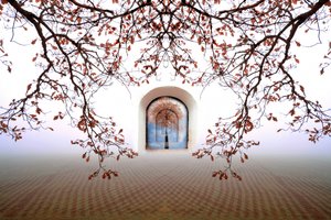 夢のような秋のアーチ