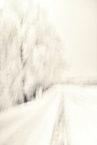 夢のような冬の小道 作： Christina Sillen