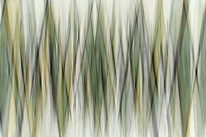アースカラーの幾何学的なライン 作： Christina Sillen