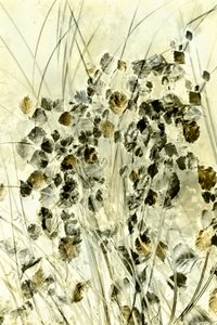 幻想的な植物の造形 作： 