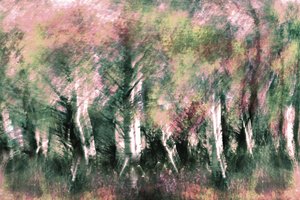 幻想の森の夢 作： 