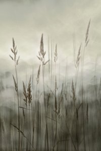  作： 