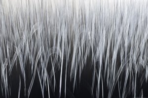 幻想的な垂直線 作： Christina Sillen