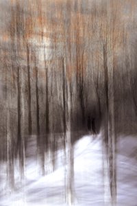 幻想的な冬の森 作： Christina Sillen