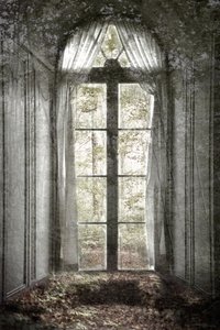 忘れられた森の窓 作： Christina Sillen