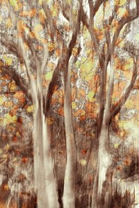 黄金の秋の森 作： Christina Sillen
